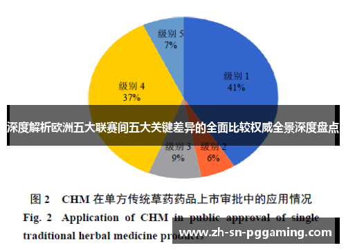 深度解析欧洲五大联赛间五大关键差异的全面比较权威全景深度盘点