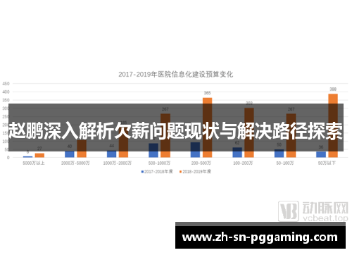 赵鹏深入解析欠薪问题现状与解决路径探索